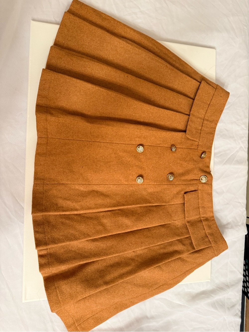 Double-Button Pleated Mini Skirt in Rust